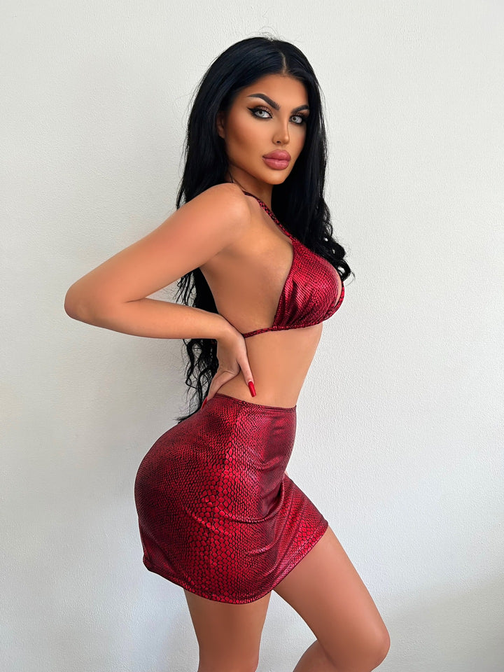 Nalani | Snake Print 3-Piece Bikini Set with Cover-Up Skirt