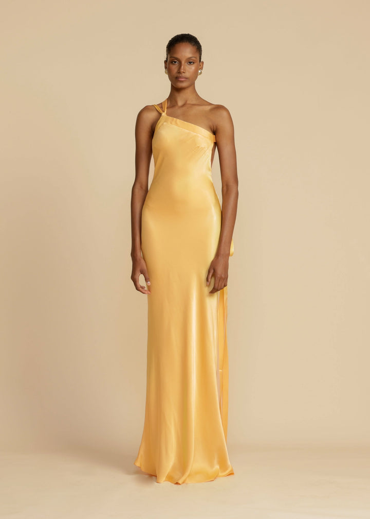 Novi | Radiant Satin Gown