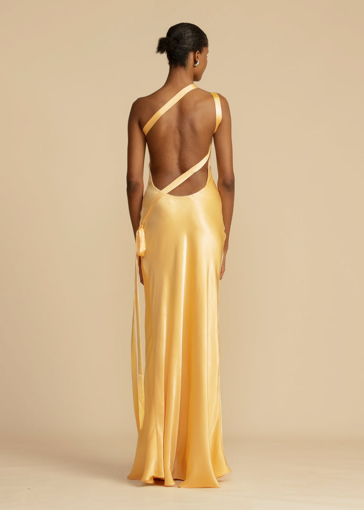 Novi | Radiant Satin Gown