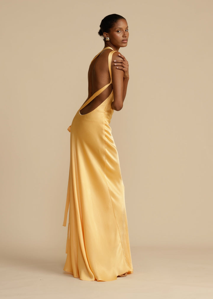 Novi | Radiant Satin Gown