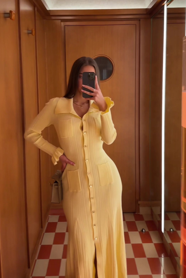 Liora | Chic Button-Up Dress