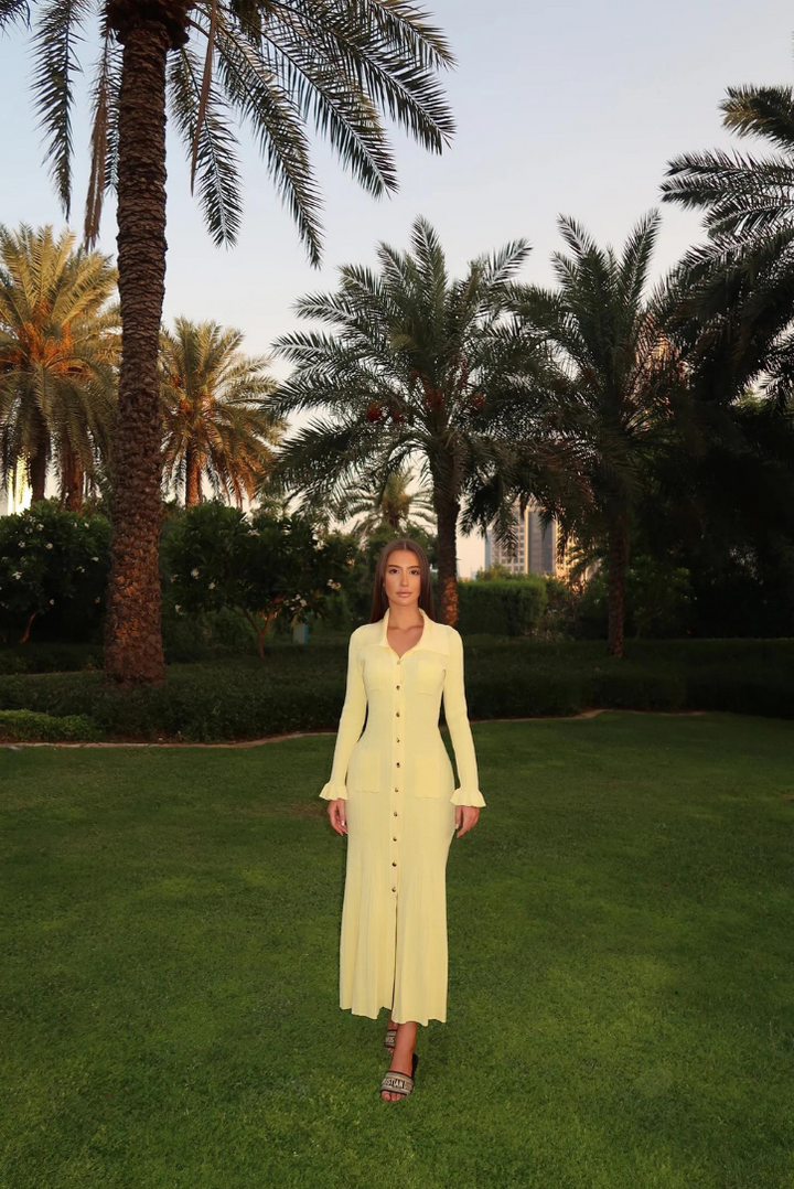 Liora | Chic Button-Up Dress