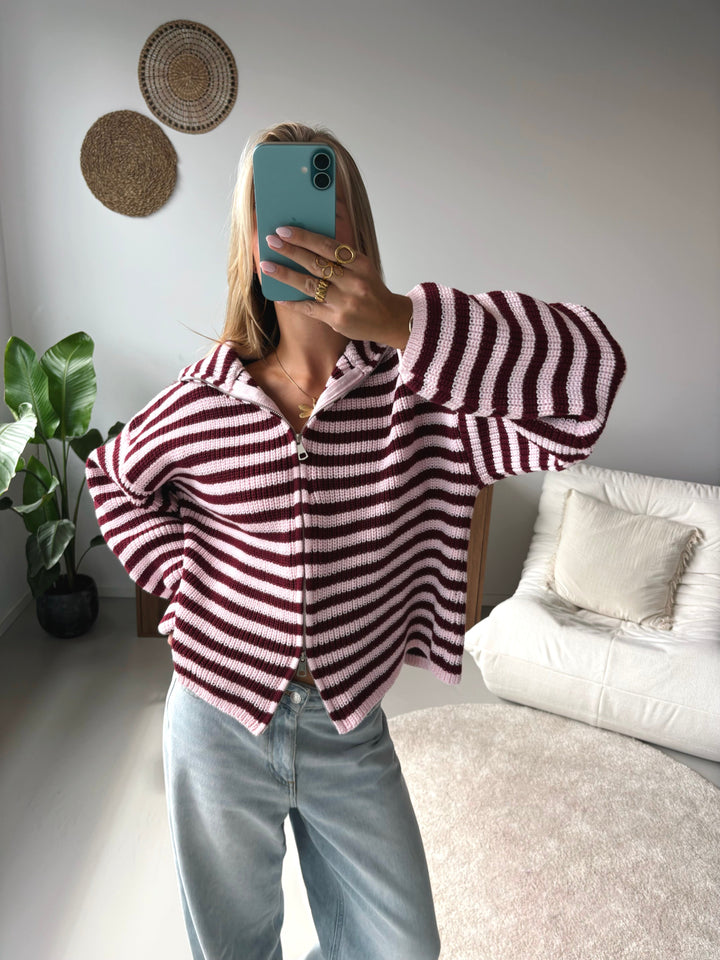 Marlie | Striped Knit Zip-Up Hooded Cardigan