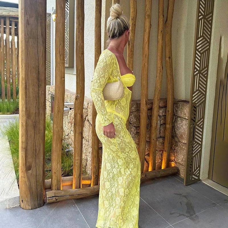 Amari | Lace Bodycon Dress in first_variant_option1 | Elegant Women&