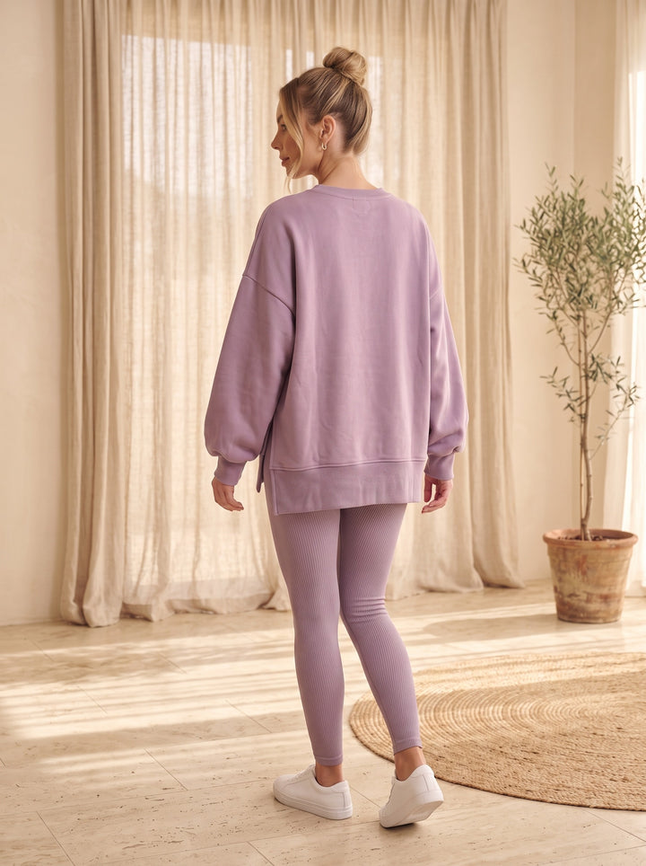 Dixie – Lavender, studio, from behind