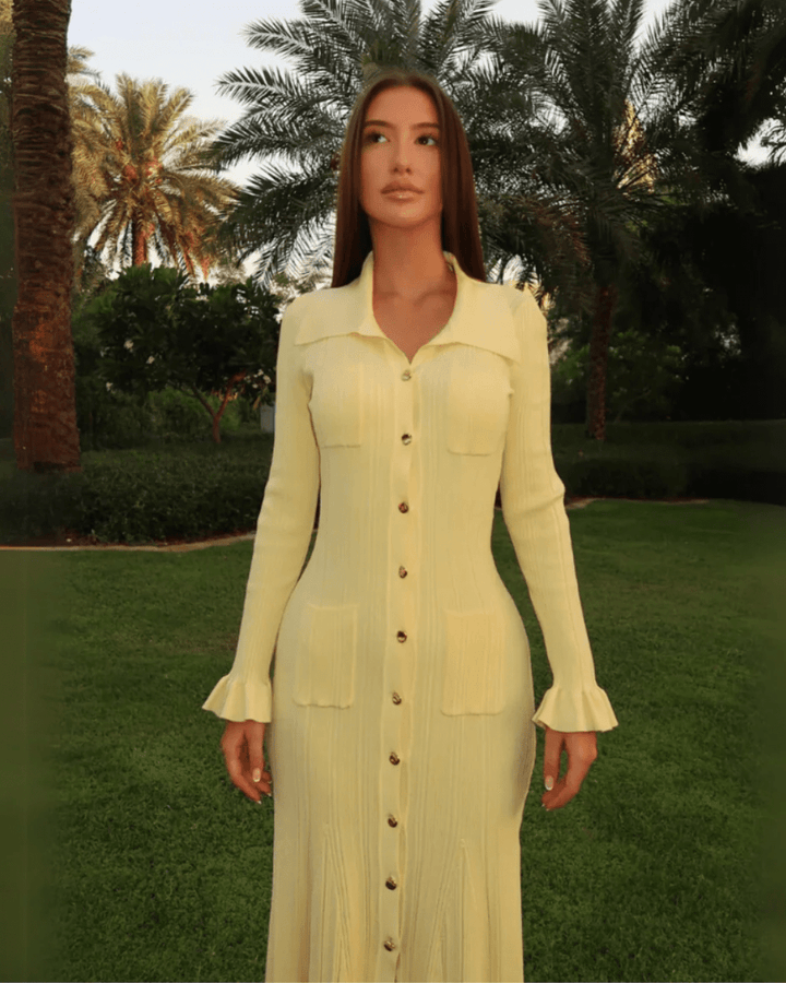 Liora | Chic Button - Up Dress in first_variant_option1 | Elegant Women&