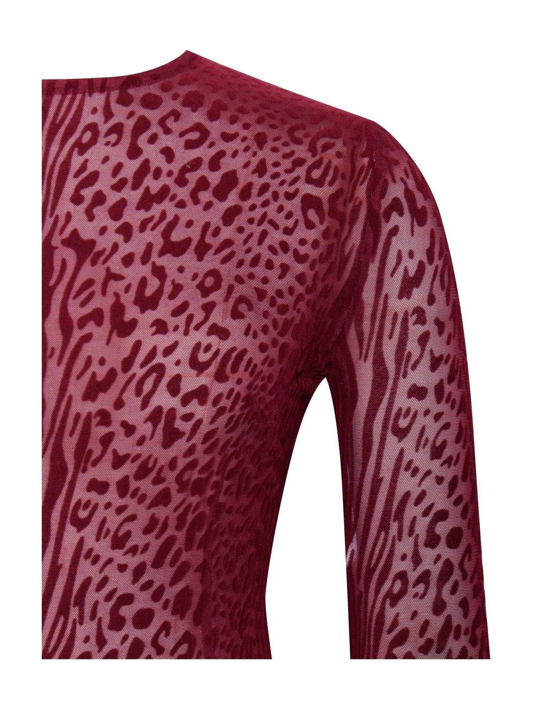 Sally | Statement Mesh Dress in first_variant_option1 | Elegant Women&