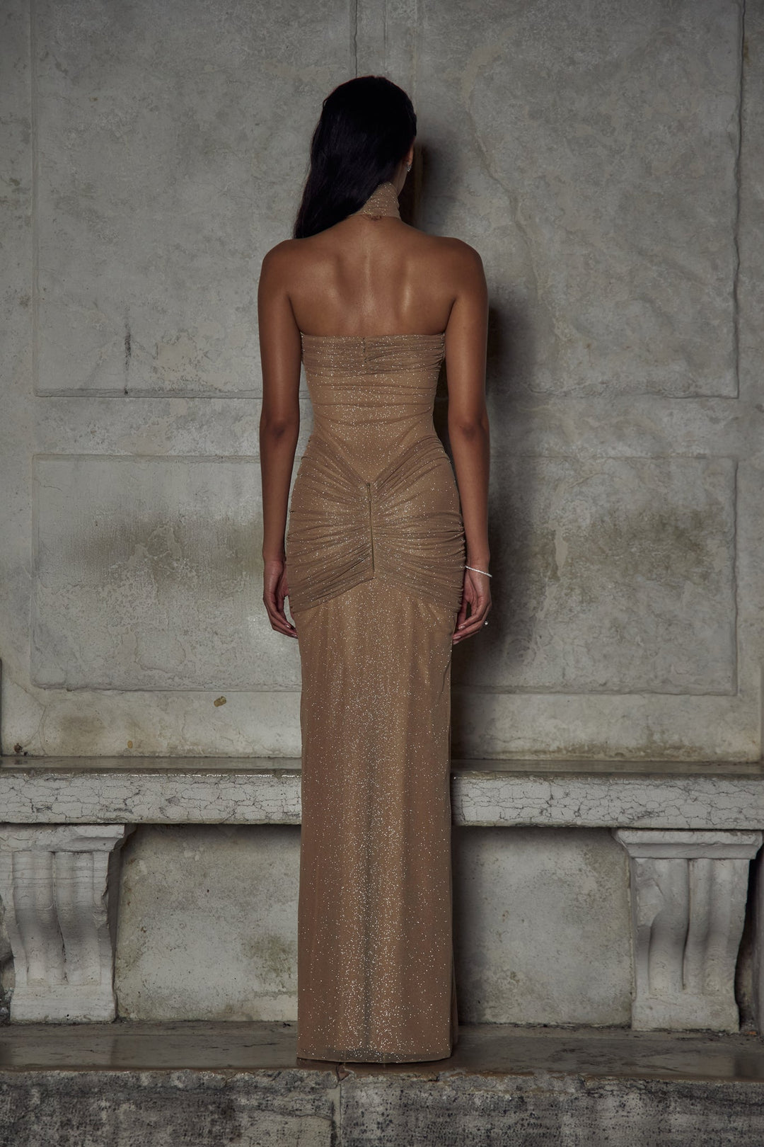 Ximena | Sparkly Mesh Gown in first_variant_option1 | Elegant Women&
