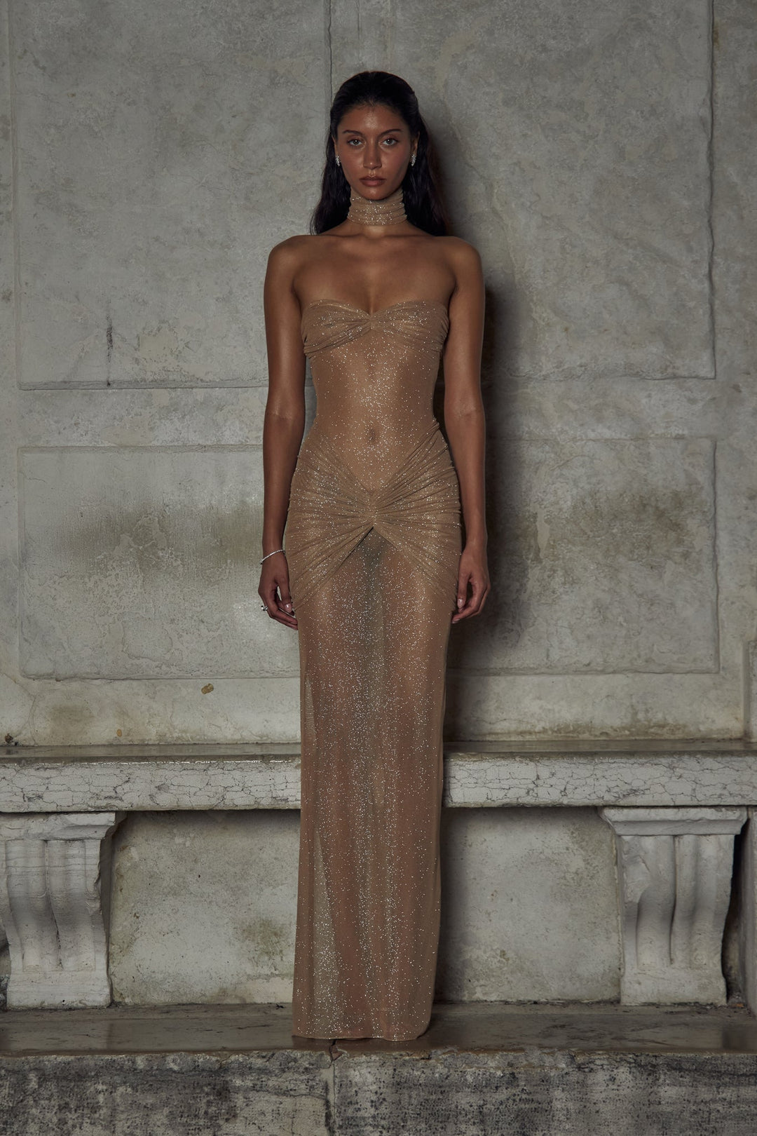 Ximena | Sparkly Mesh Gown in first_variant_option1 | Elegant Women&